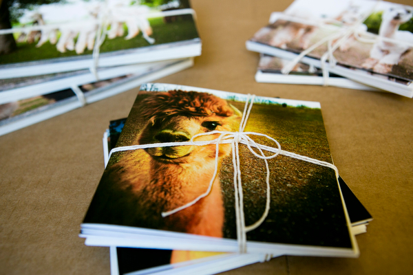 Alpaca Greeting Cards